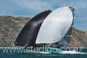 12S_6390