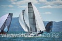 12S_6536