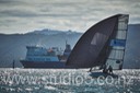 12S_6595