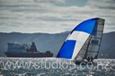 12S_6599