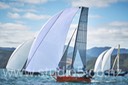 12S_6649