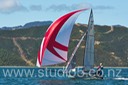 12S_6739