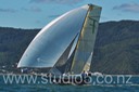 12S_6939