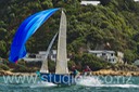12S_8282