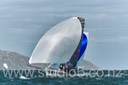12S_8426