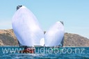 325_5155